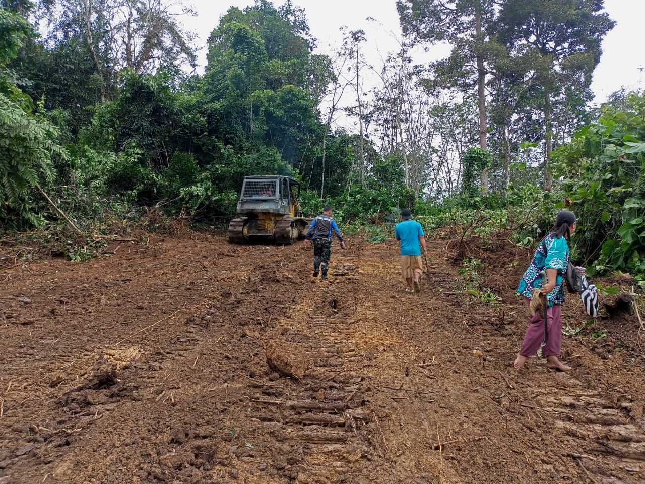 TMMD XVII/2023  Kodim 0416/Bute Buka Akses Jalan Ekonomi Warga