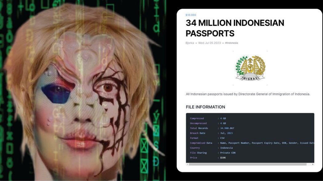 Bjorka Beraksi Lagi, Kini Bocorkan Data 34,9 Juta Paspor Imigrasi 