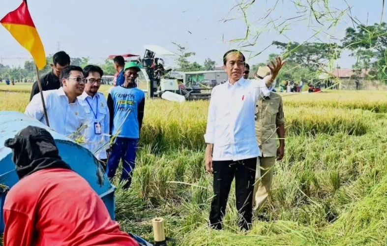 Presiden Jokowi Tingkatkan Cadangan Beras 1,5 Juta Ton