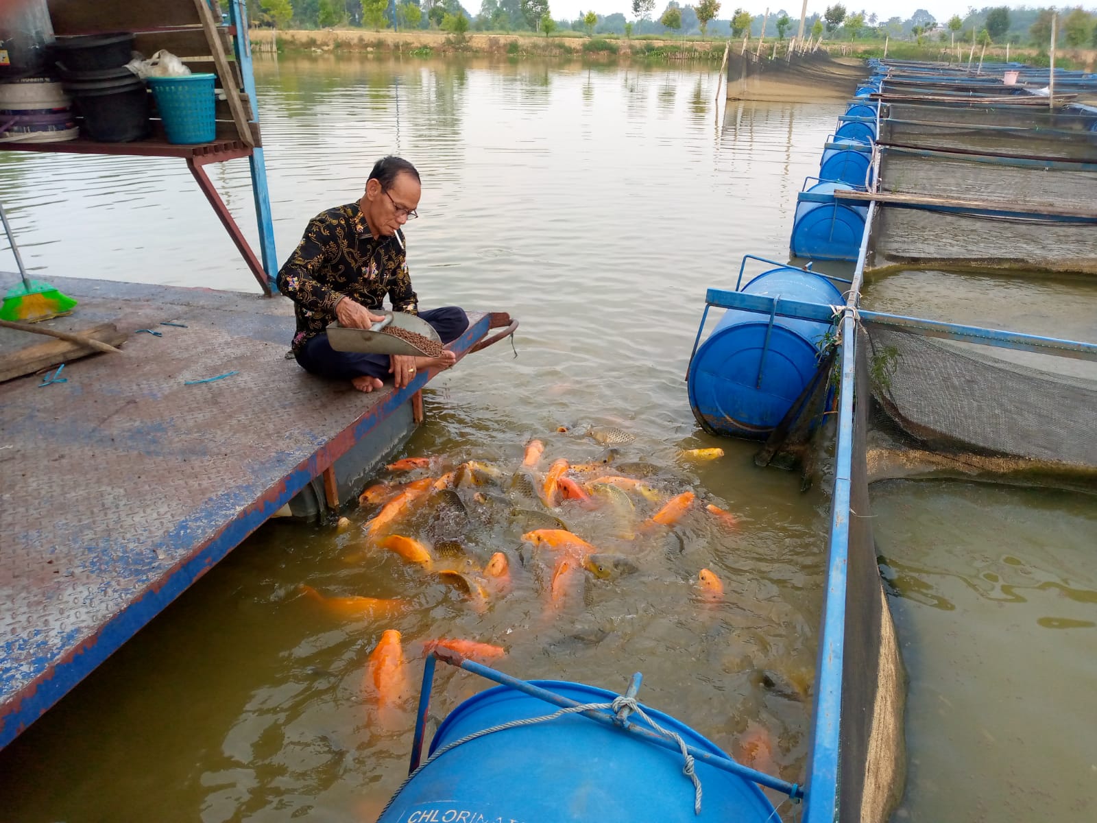 Harmoni Senja: Ketua PWI Provinsi Jambi dan Pesona Kolam Ikan 40 Hektar