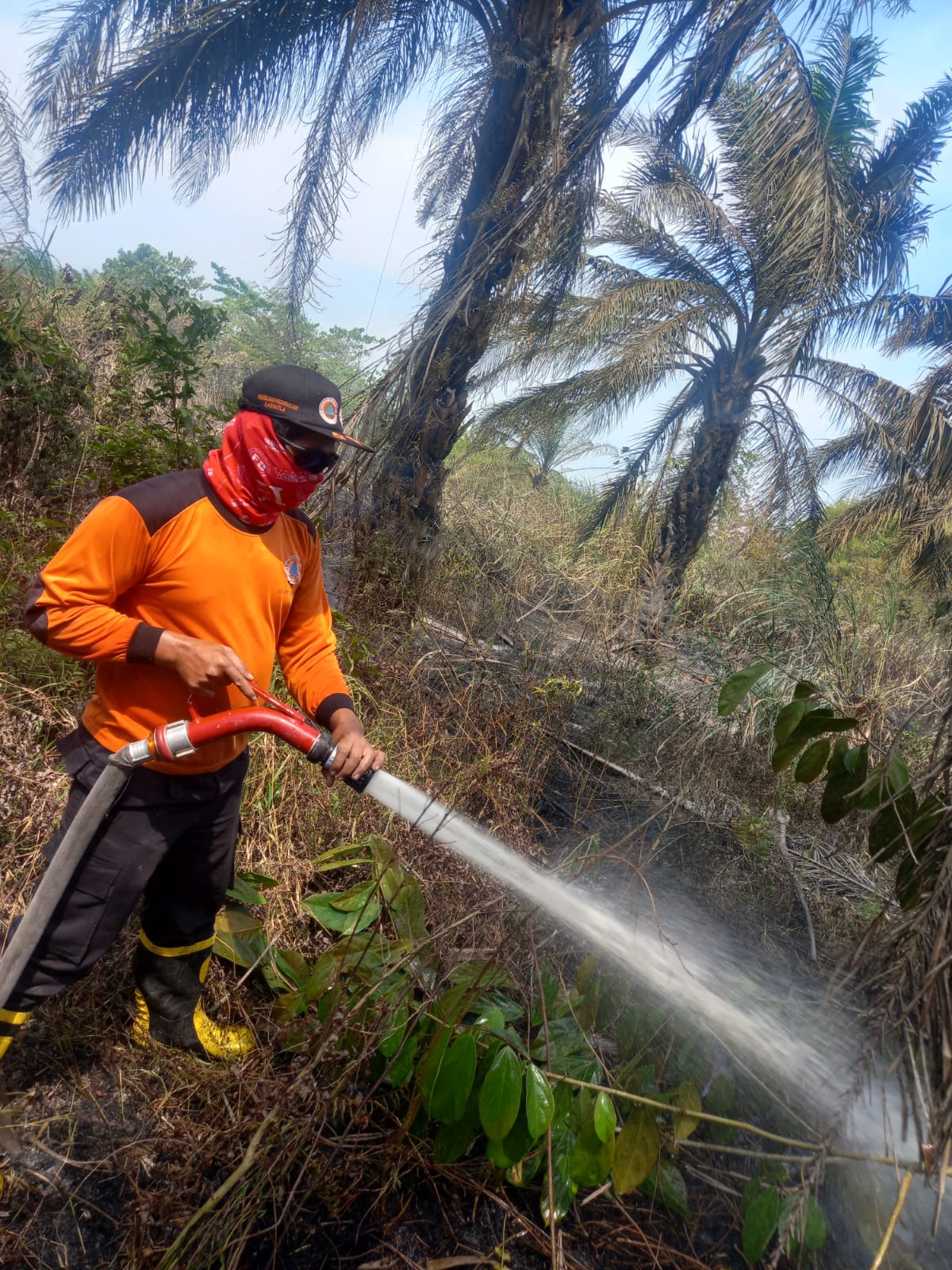 Kebakaran Lahan Desa Pudak Muaro Jambi, BPBD Sigap