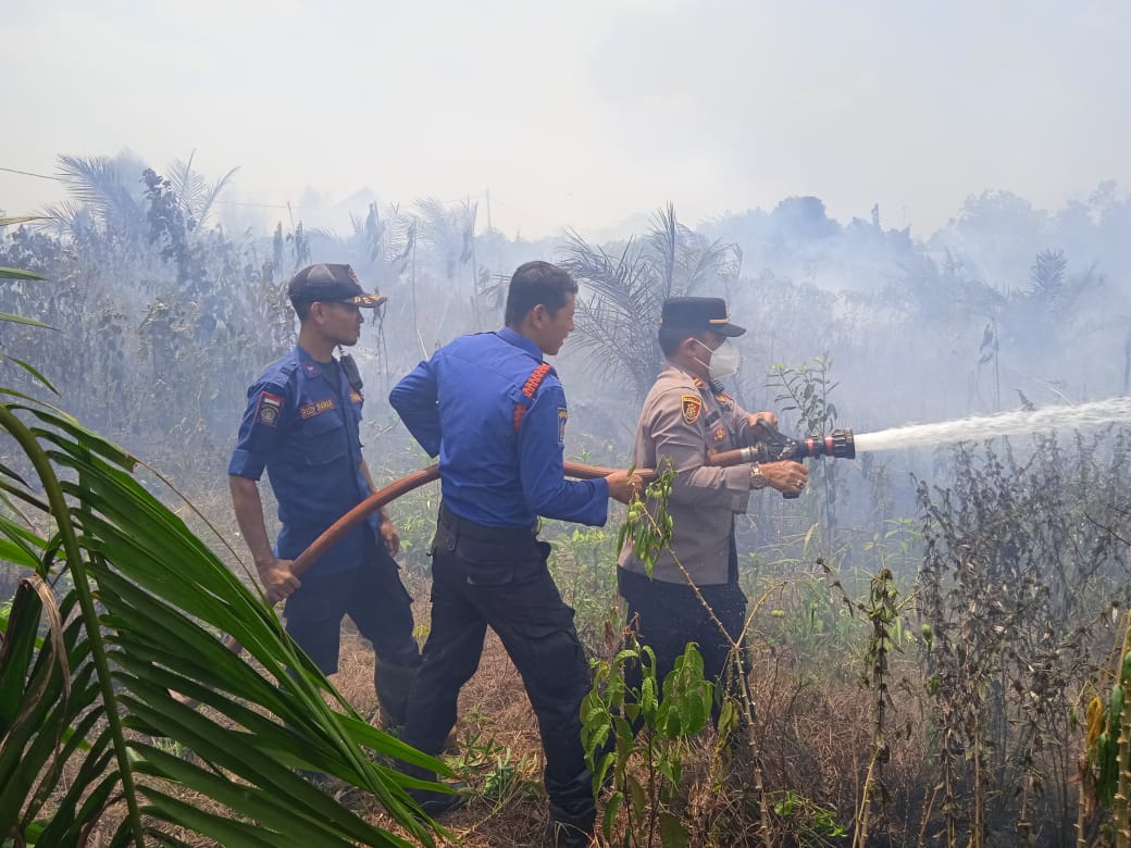 Kebakaran Hutan dan Lahan Melanda Wilayah Jaluko Kabupaten Muaro Jambi